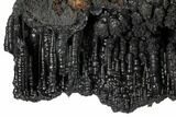 Fascinating, Botryoidal, Black, Goethite Formation - Congo #157291-1